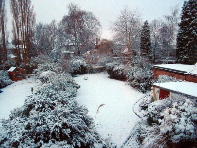 Garden covered in snow