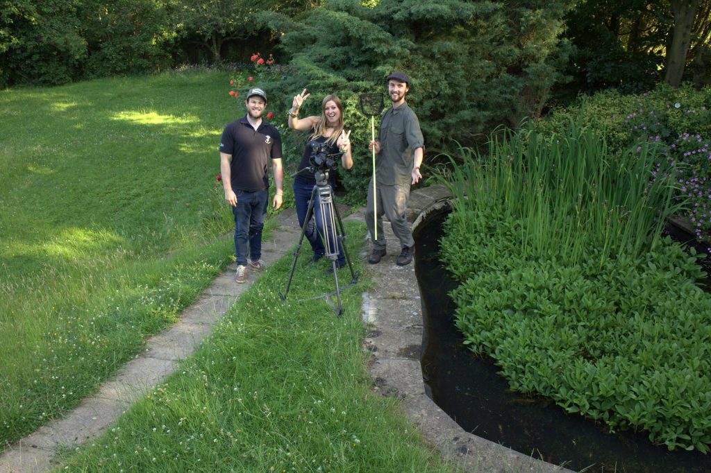 Reptiles and amphibians film shoot