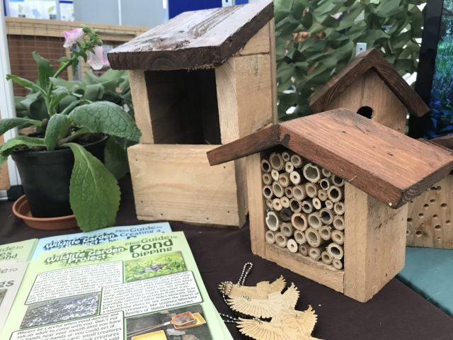 Robin nest box and bee hotel