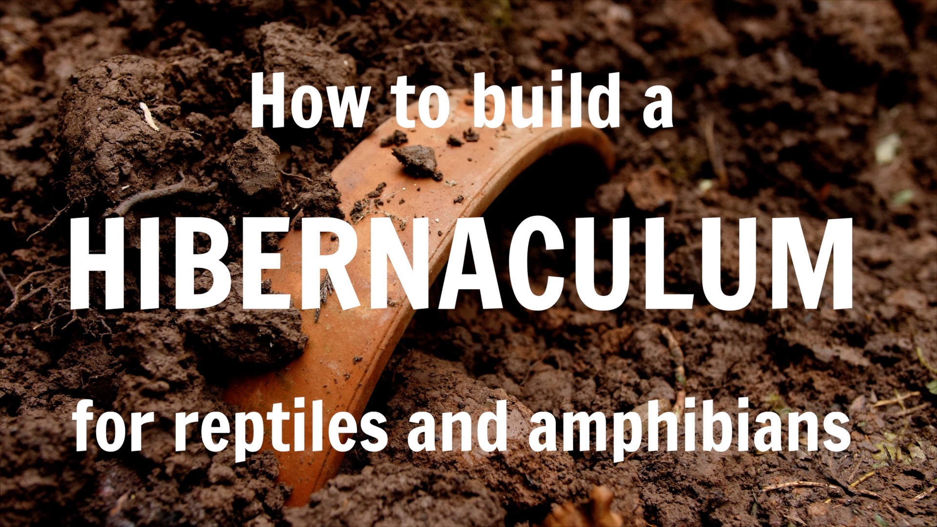 How to build a hibernaculum The Wildlife Garden Project