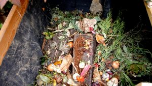 Compost