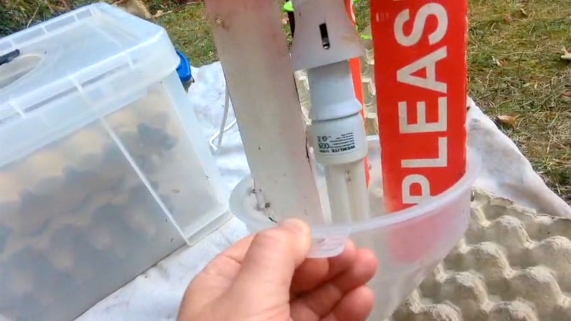 The light inside a homemade moth trap