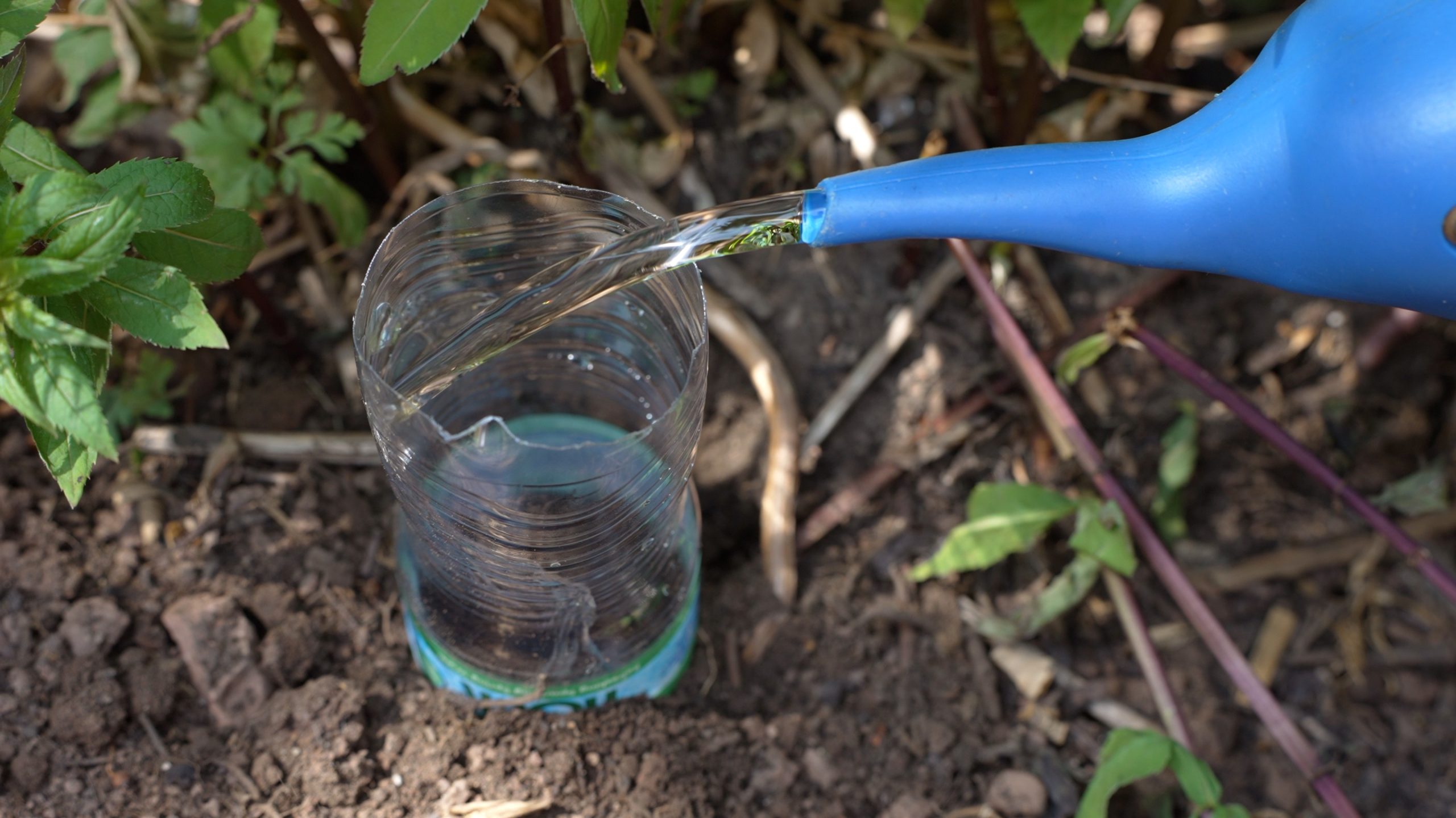 Plastic bottle waterer
