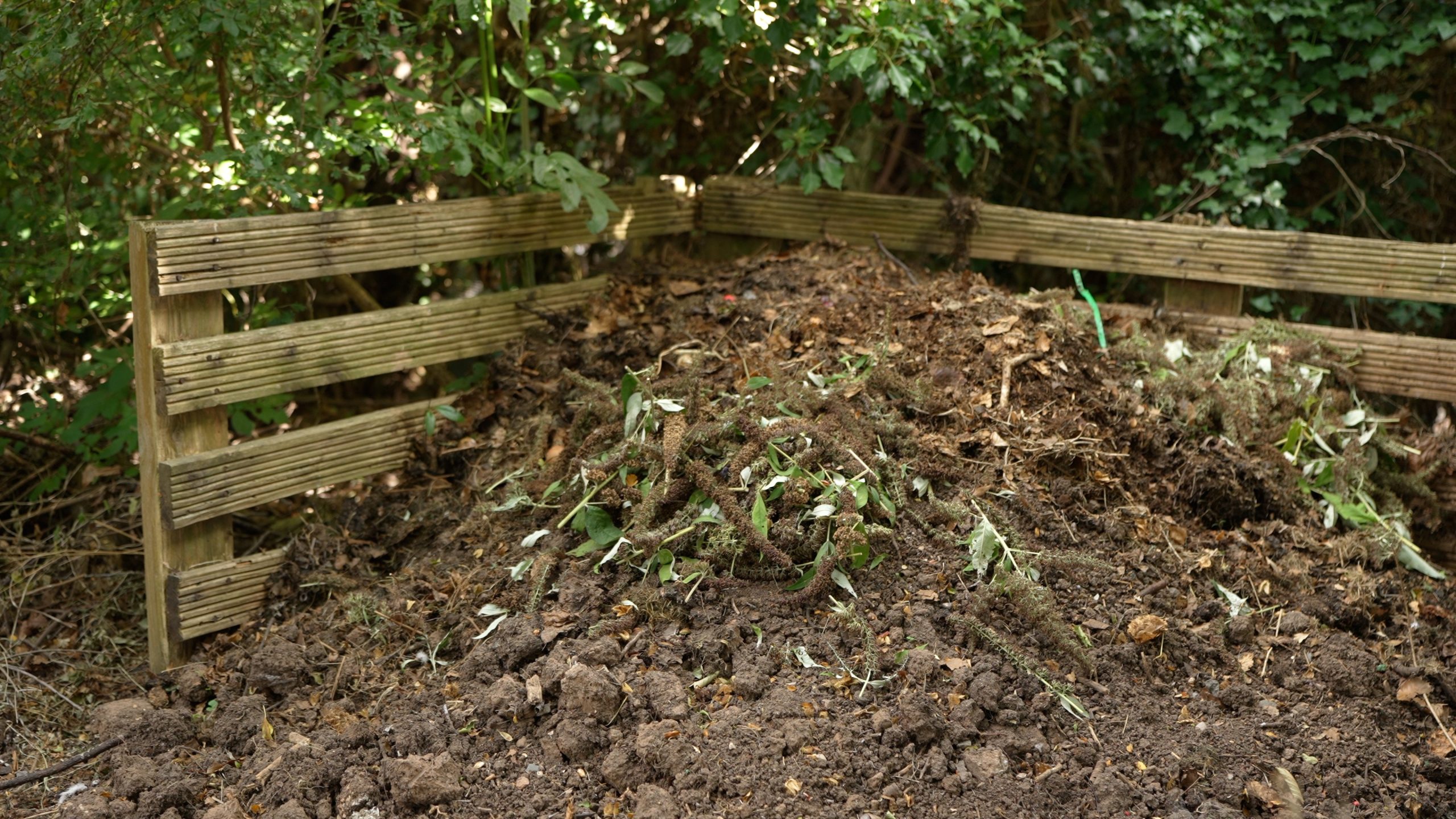 Large compost heap