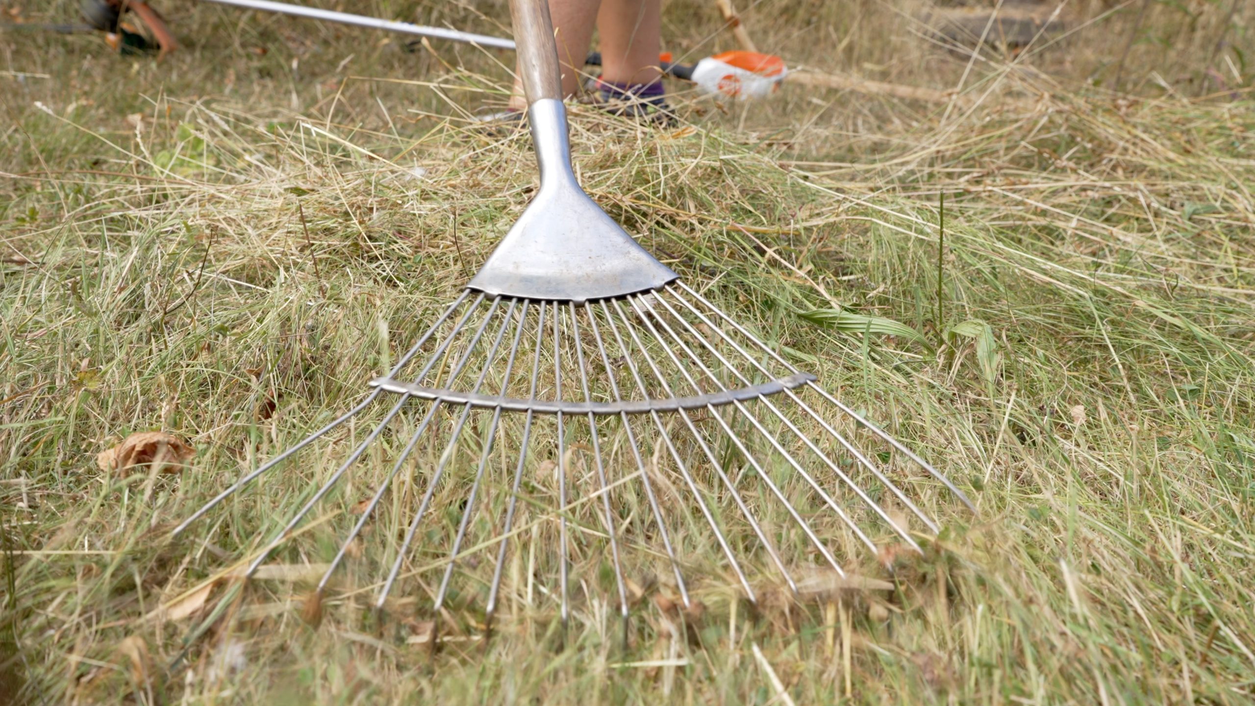 Scarify lawn