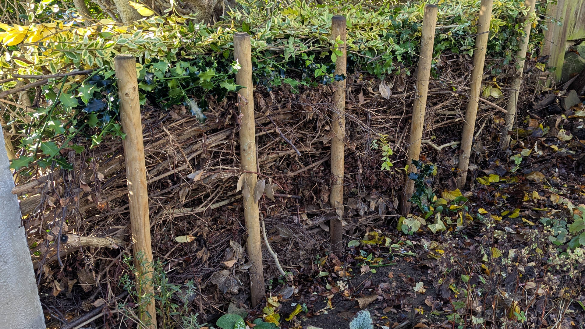 Dead hedge