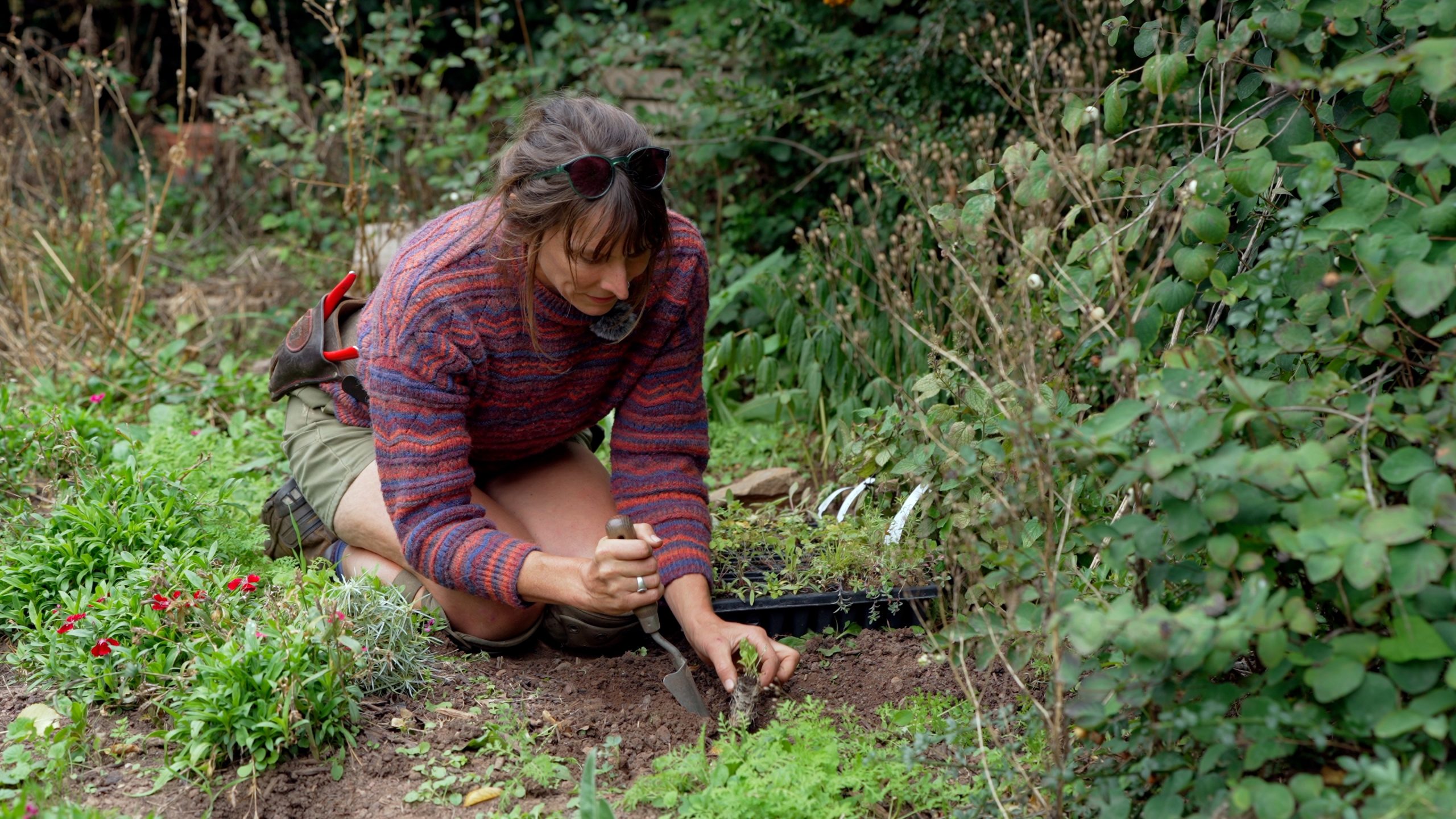Ellie planting a plug plant