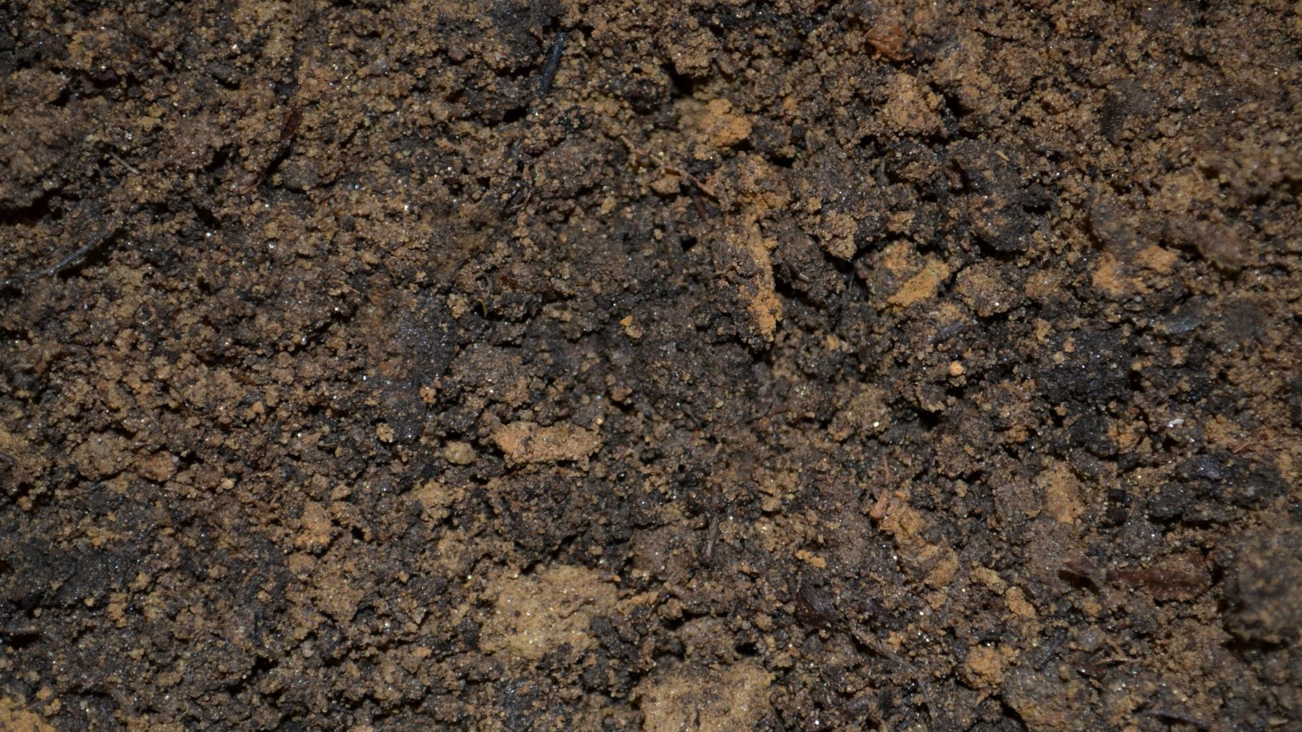 Soil